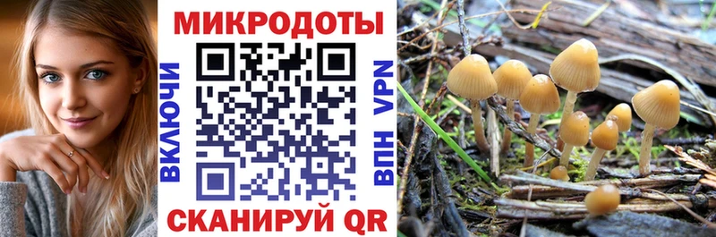Псилоцибиновые грибы GOLDEN TEACHER  Купить где  Каменка 
